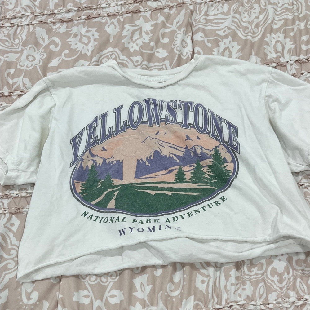 Yellowstone Graphic Crop Top - White